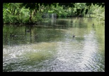 Kent - Leeds Castle -05-06-2014 - Bogdan Balaban